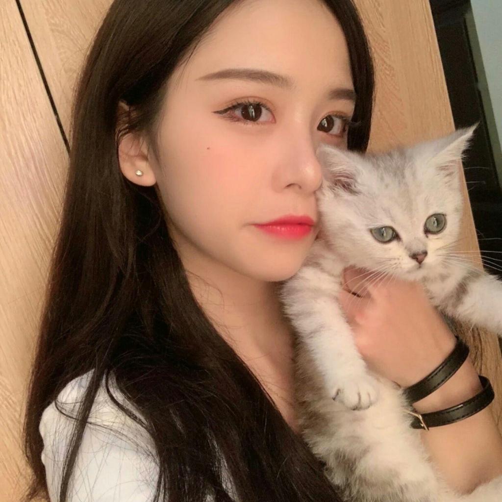 开云·体育(KYSports)截图