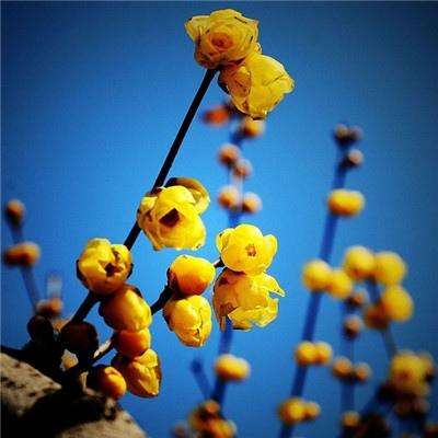 乐鱼体育APP下载安装