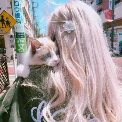 麻将胡了pg网页版APP下载