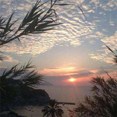 ayx在线登录入口手机app下载