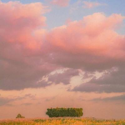 乐鱼app(中国体育)官方网站