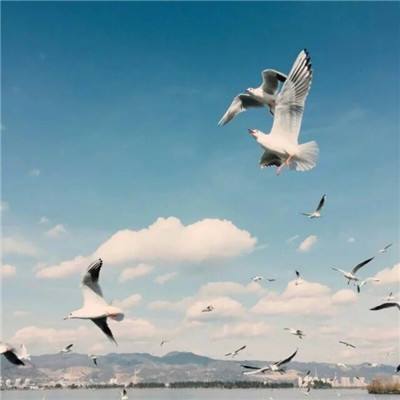 云开·棋牌官方网站