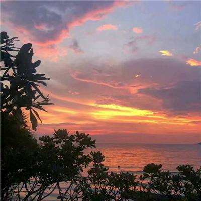 乐动体育app官网入口